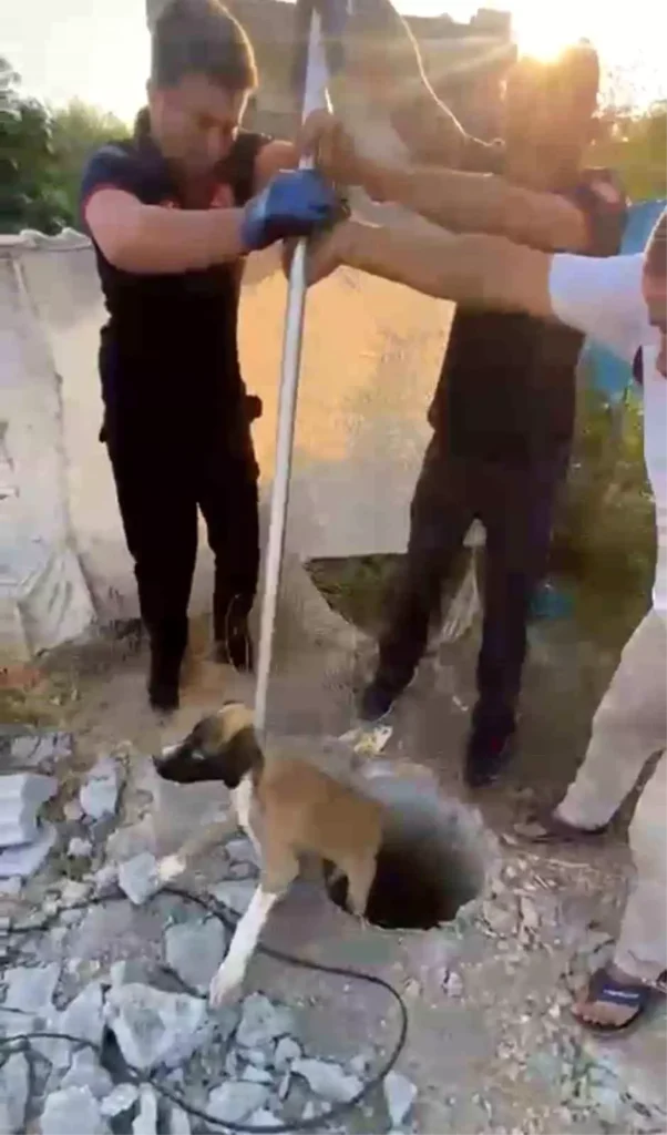 Batman’da Kuyuya Düşen Yavru Köpek İtfaiye Ekipleri Tarafından Kurtarıldı