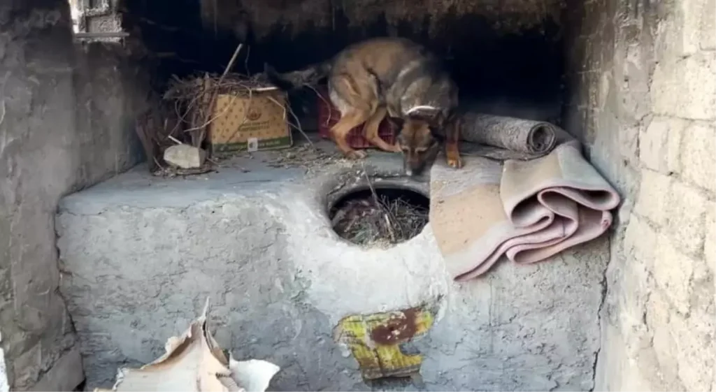 Batman’da Ekmek Tandırı İçinde Uyuşturucu Ele Geçirildi