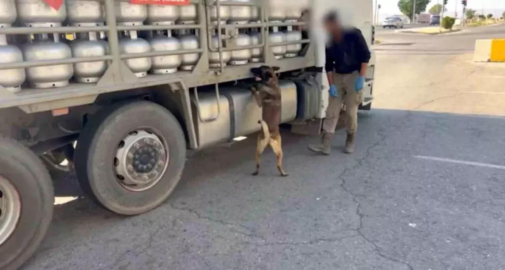 Batman’da Piknik Tüpünde 2 Kilo 900 Gram Eroin Ele Geçirildi