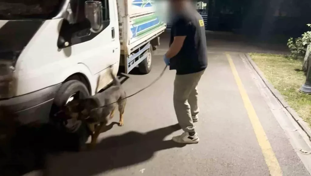 Batman’da Uyuşturucu Operasyonu: 4.5 Kilo Skunk Ele Geçirildi