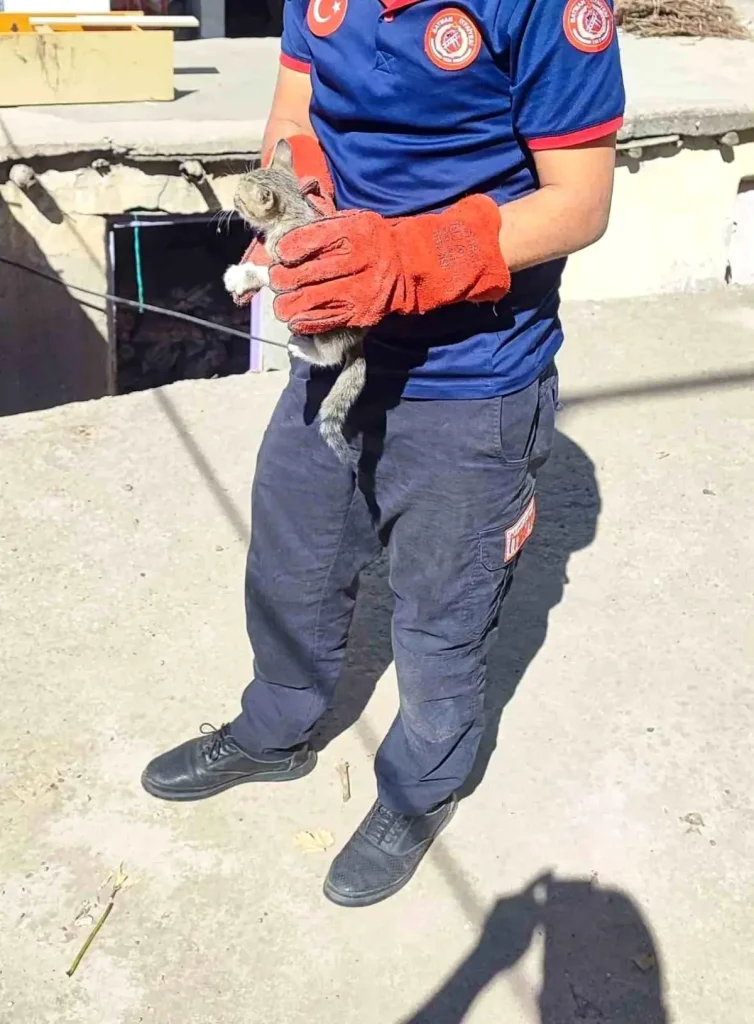 Batman’da Sıkışan Kedi İtfaiye Ekiplerince Kurtarıldı