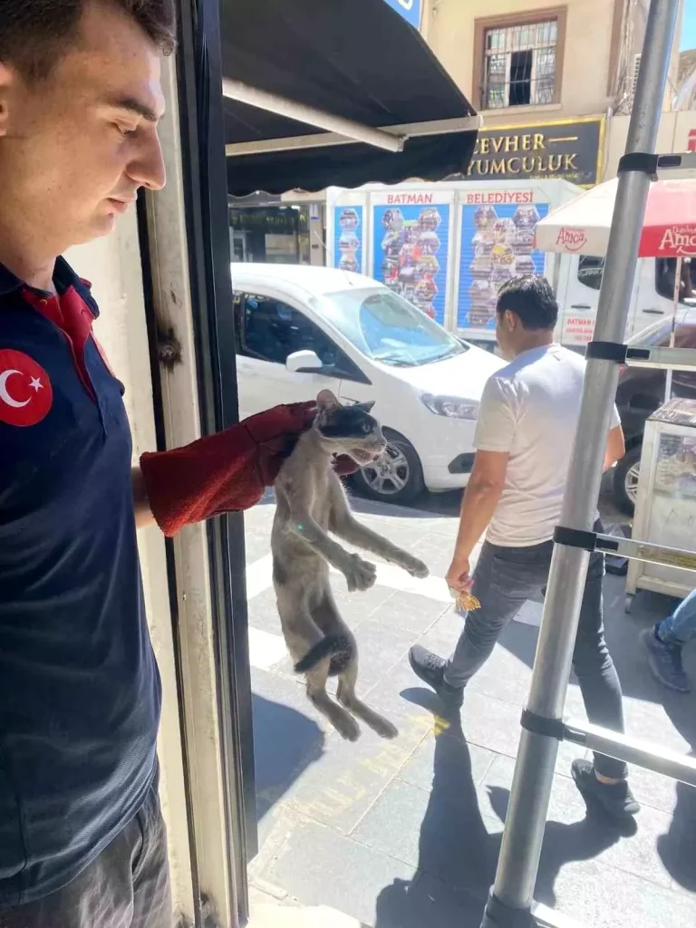 Batman’da Sıkışan Kedi İtfaiye Ekiplerince Kurtarıldı
