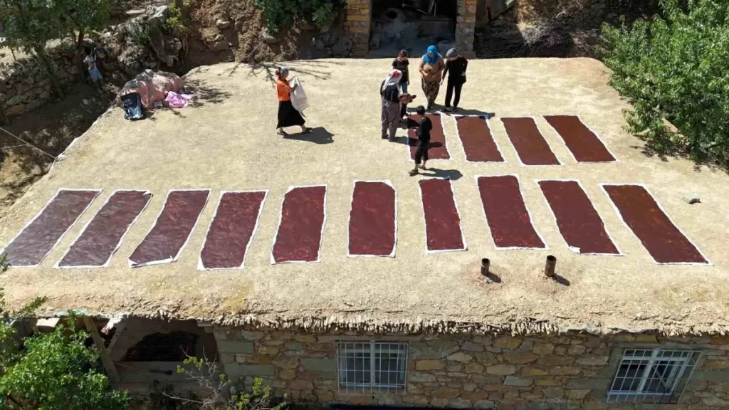 Batman’ın Günlüce Köyünde Siyah Üzüm Hasadı ve Geleneksel Ürünler