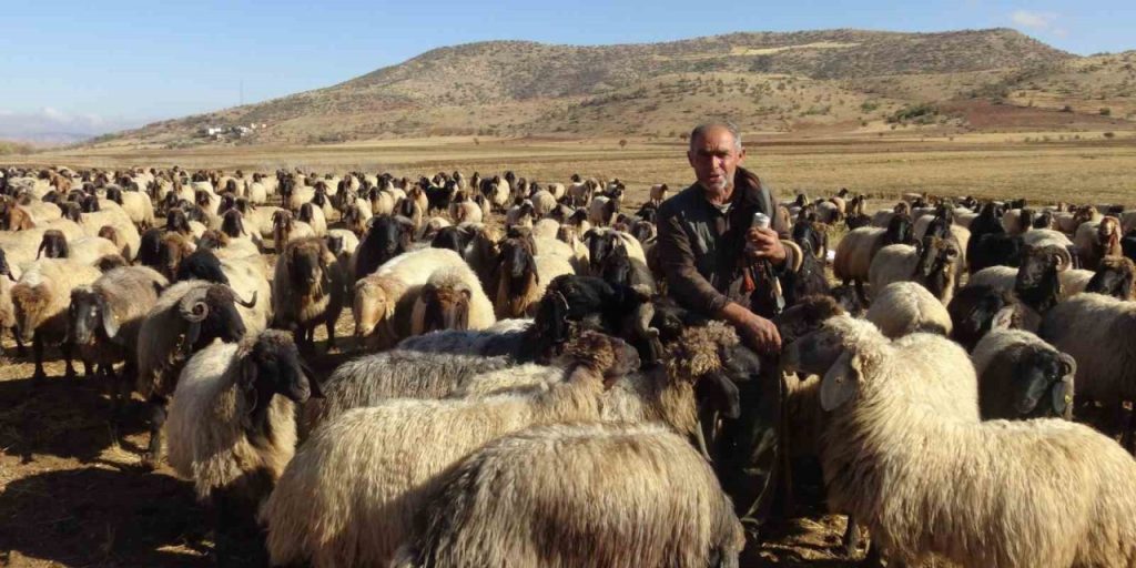 Gercüş’te Göçerlerin Zorlu Yolculuğu Başladı
