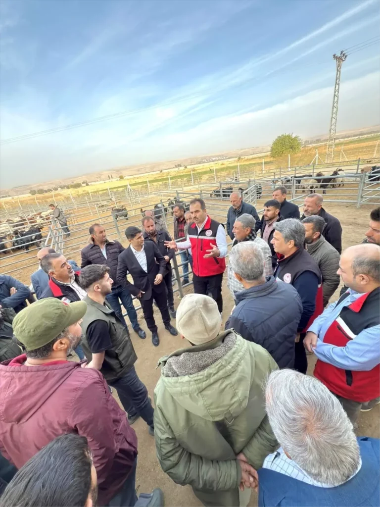 Batman’da Hayvan Pazarı ve Kesimhanede İncelemeler