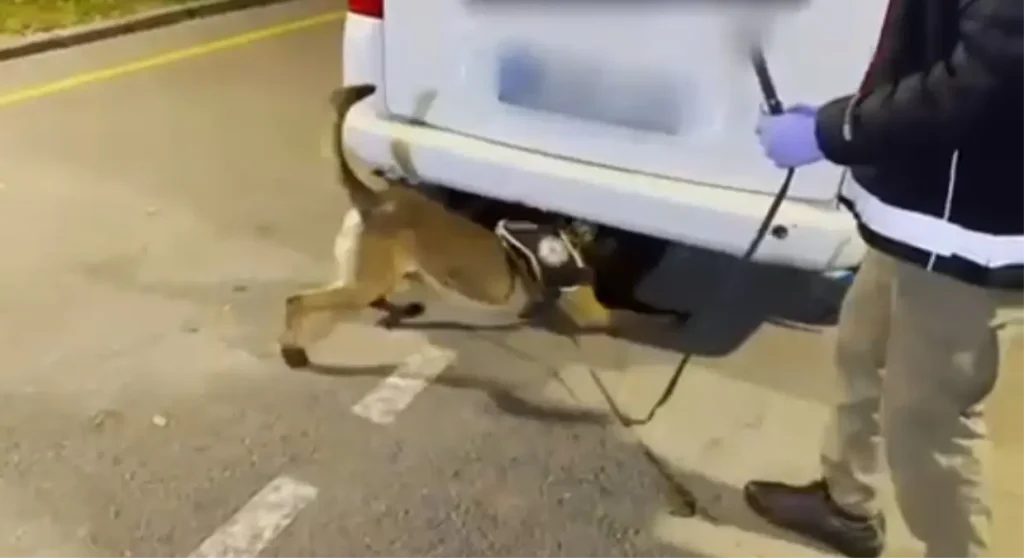 Batman’da Narkotik Köpeği ile 12 Kilo Uyuşturucu Ele Geçirildi