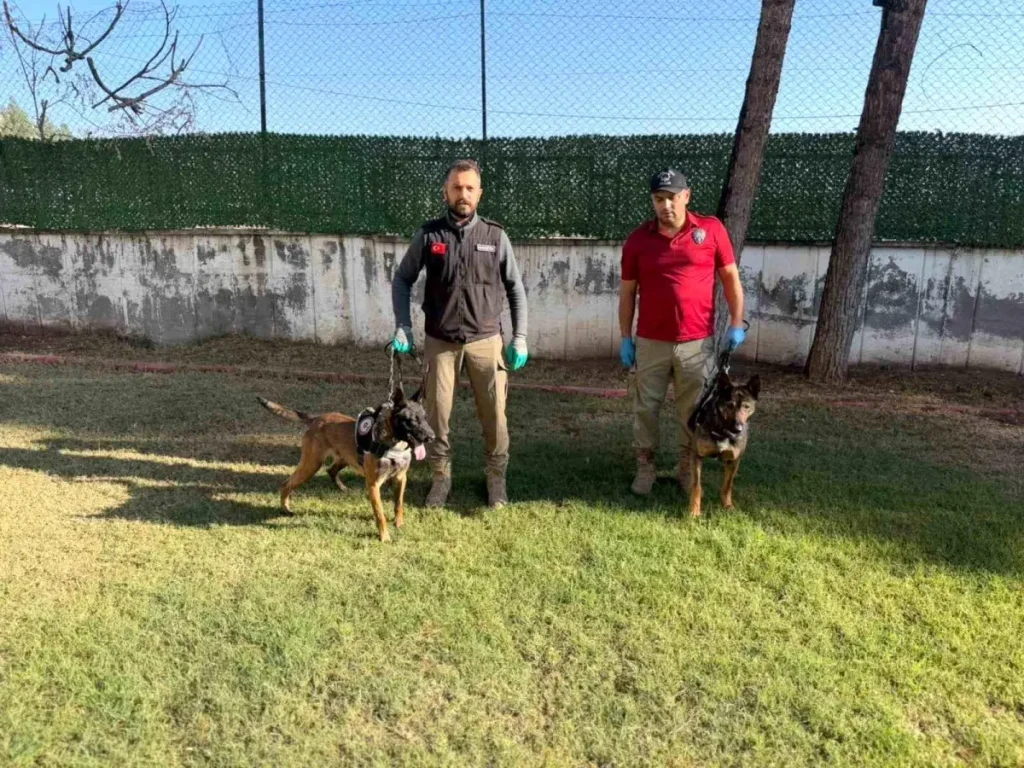 Batman’ın Narkotik Köpekleri Hector ve Mailo, Uyuşturucu ile Mücadelede Başarı Hikayesi Yazıyor