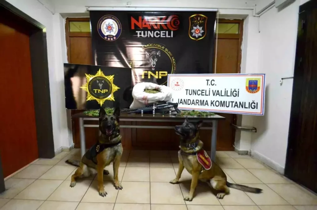 Tunceli Merkezli Uyuşturucu Operasyonunda 23 Kilo Esrar Ele Geçirildi