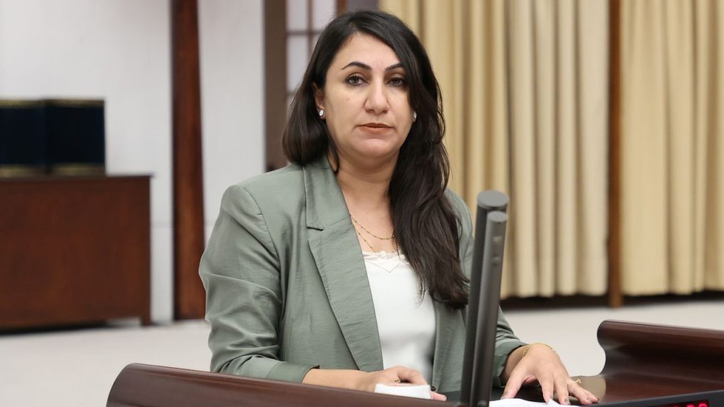 Zeynep Oduncu Kutevi: Kayyum Uygulamasına Son Verilmeli