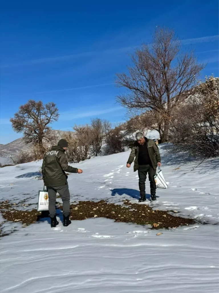 Batman’da kuşlar için doğaya yem bırakıldı