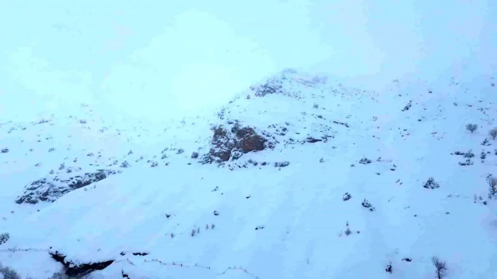 Batman’da ağıla çığ düştü: 45 küçükbaş hayvan telef oldu