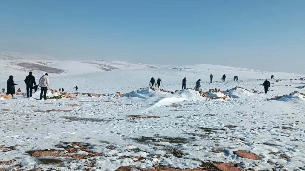 Batman’da yaban hayvanları için doğaya 1 ton yem bırakıldı