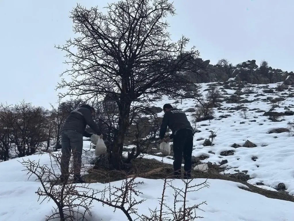 Batman'da yaban hayvanları için doğaya yem bırakıldı