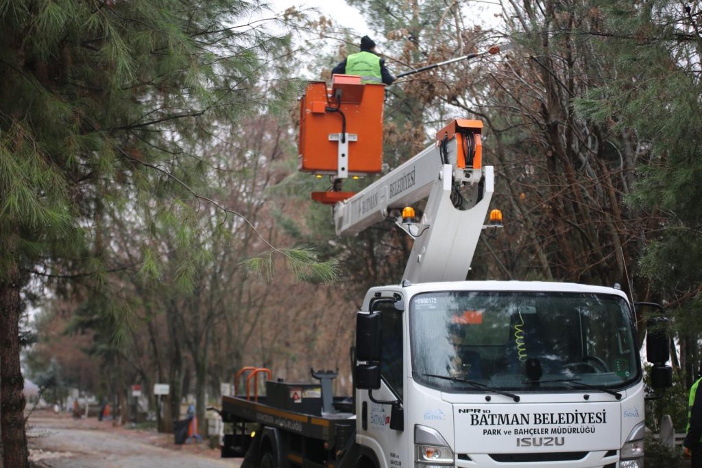 Batman’da ağaç budama çalışmaları