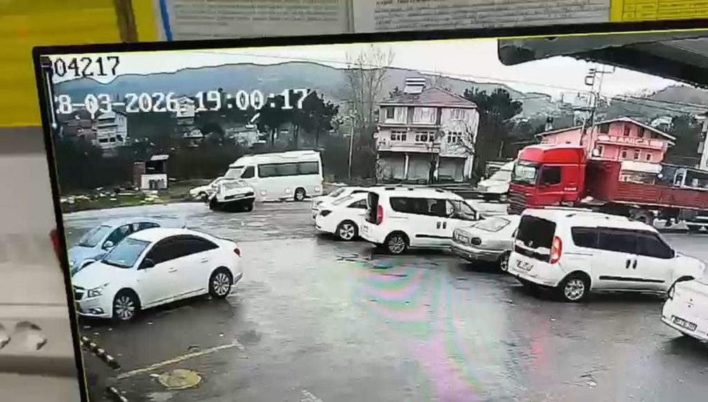 Almanya'da Baltık Denizi sahilinde kurtarılan kambur balina yeniden karaya oturdu