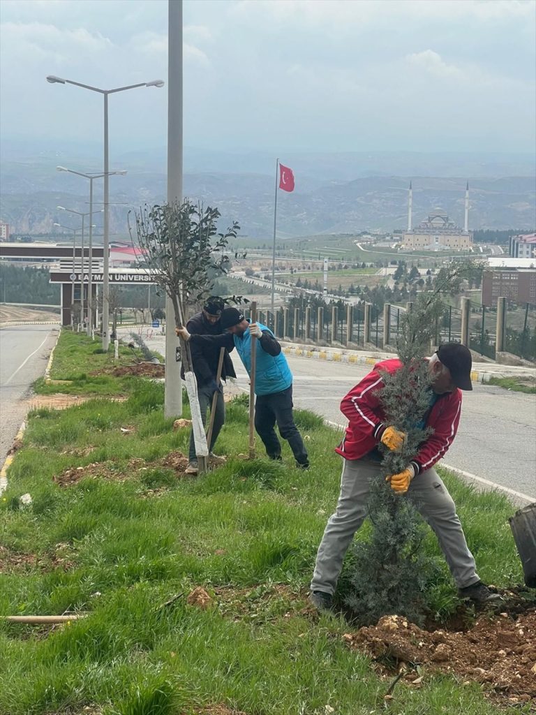 Batman'da ağaçlandırma çalışması yapıldı