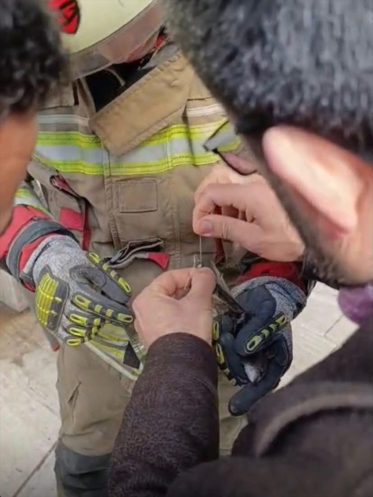 İskenderun'da kanatları ipe dolanan kuşu itfaiye kurtardı