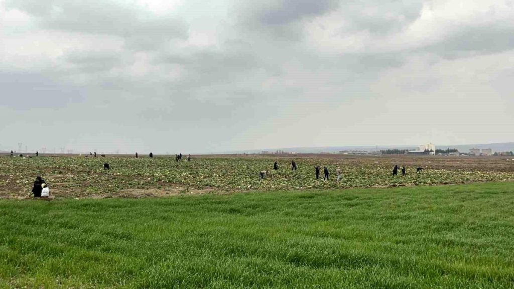 Meteorolojiden 5 il için kuvvetli yağış uyarısı