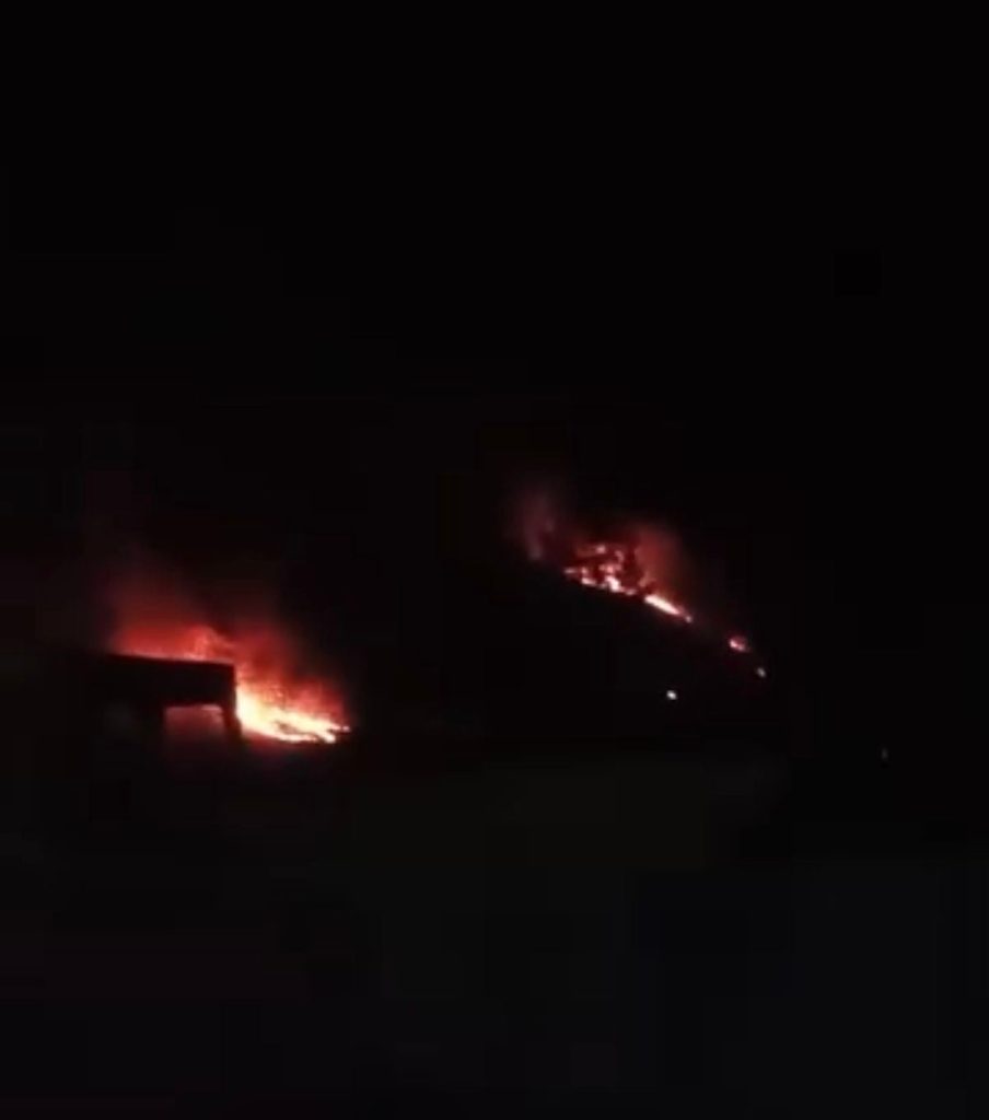 Ormanda çıkan örtü yangını söndürüldü