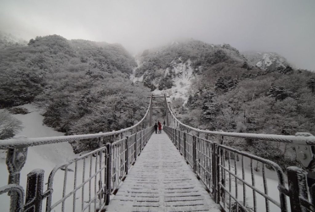 Adalet Bakanı Gürlek, Türkiye Noterler Birliği heyetini kabul etti