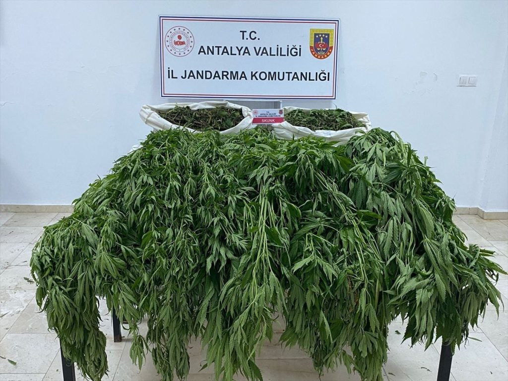 Alanya'da 23 Nisan'a özel 'Kızılkule' temalı resim sergisi açıldı