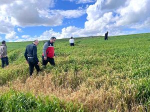 Batman'da yasadışı bahis operasyonunda 4 tutuklama