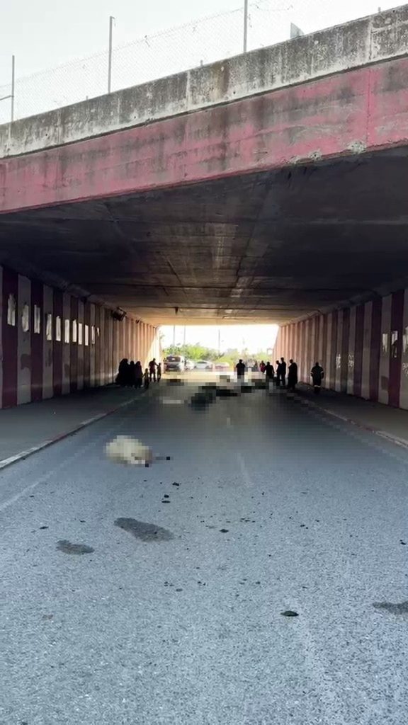 Hatay'da otomobilin çarptığı sürüdeki 17 koyun öldü