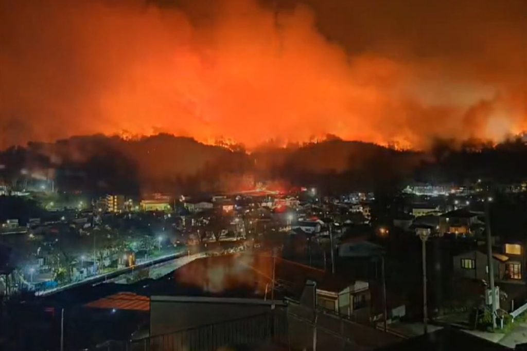 Japonya'nın Iwate eyaletinde orman yangını