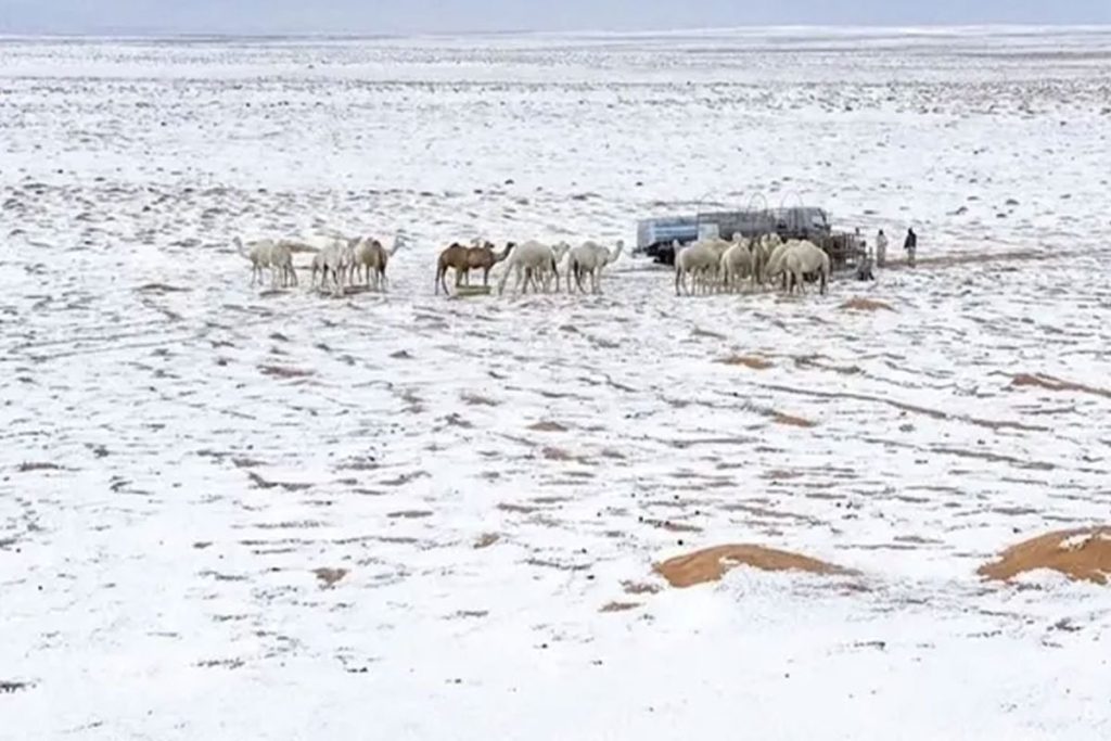 Suudi Arabistan'da çöller dolu yağışıyla beyaza büründü