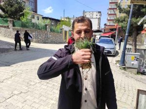 Zuzubak otu, köylüler için önemli bir gelir kapısı