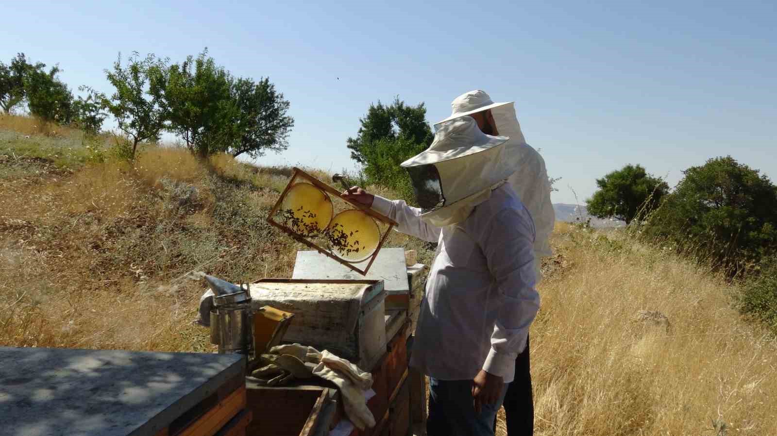 Gercüş’te bal hasadı heyecanı: Üreticinin yüzü gülüyor