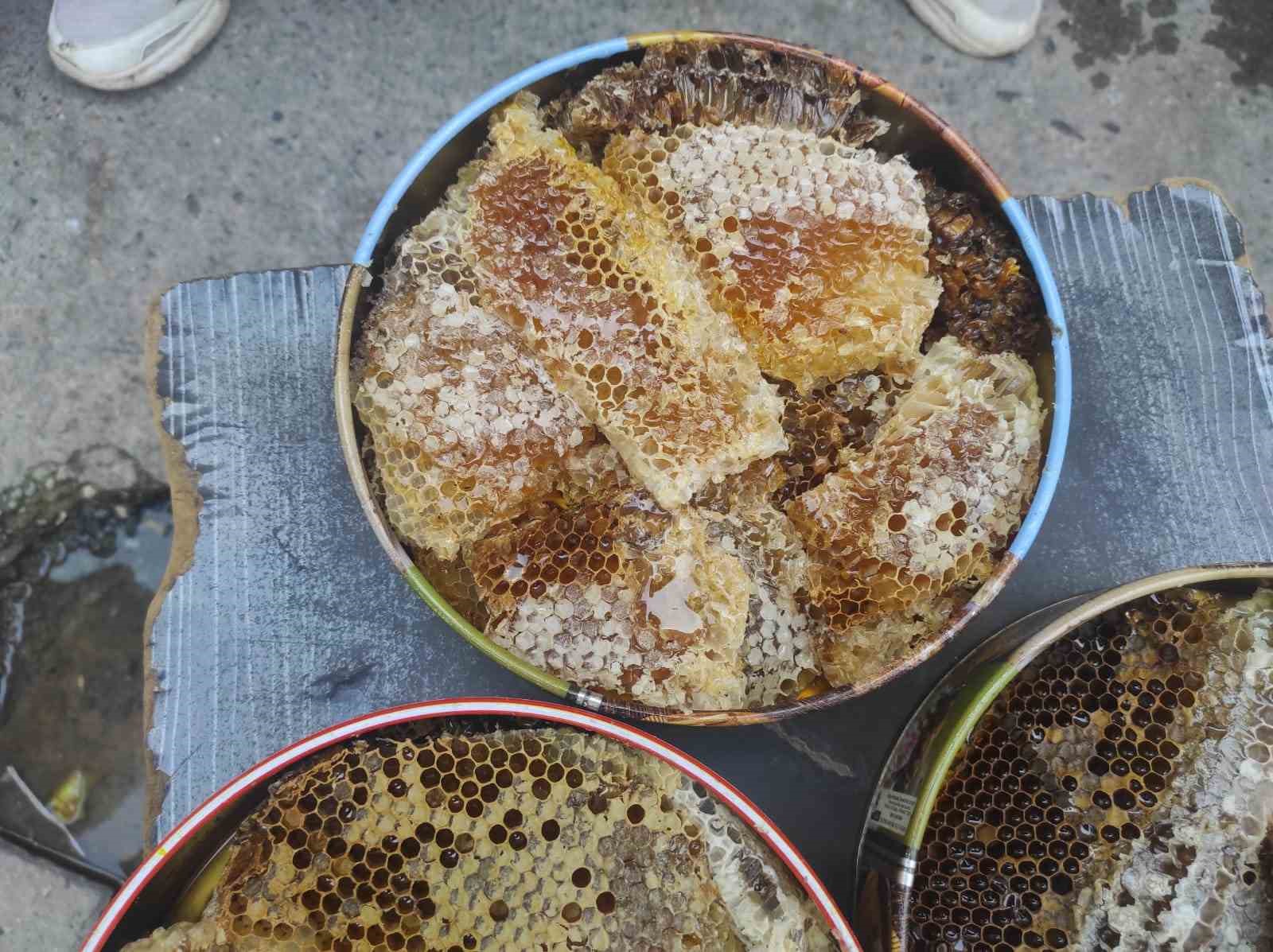 Ağaç kovuklarından çıkan doğal balın kilosu 10 bin liradan satılıyor